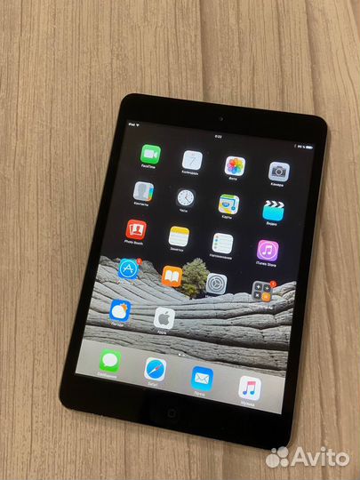 iPad Mini