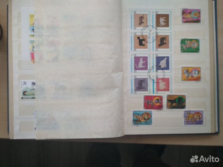 Марки-Кошки и Собаки