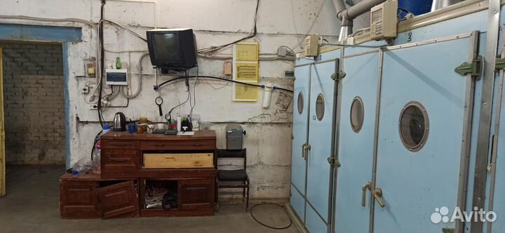 Инкубаторная станция по выводу суточной птицы