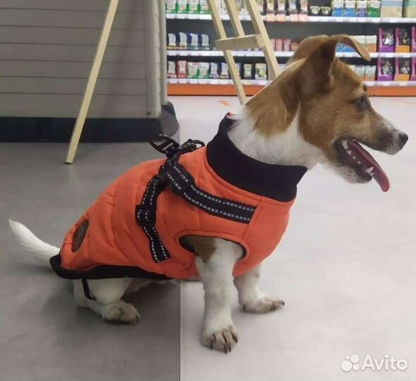 Куртка для собак