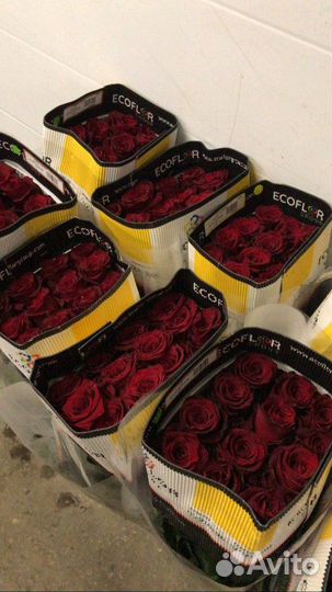 Красные розы эквадор 90 см с доставкой