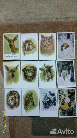 Наборы открыток: в мире животных (неполный), город