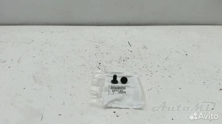 Болт крепления пластины Peugeot 206