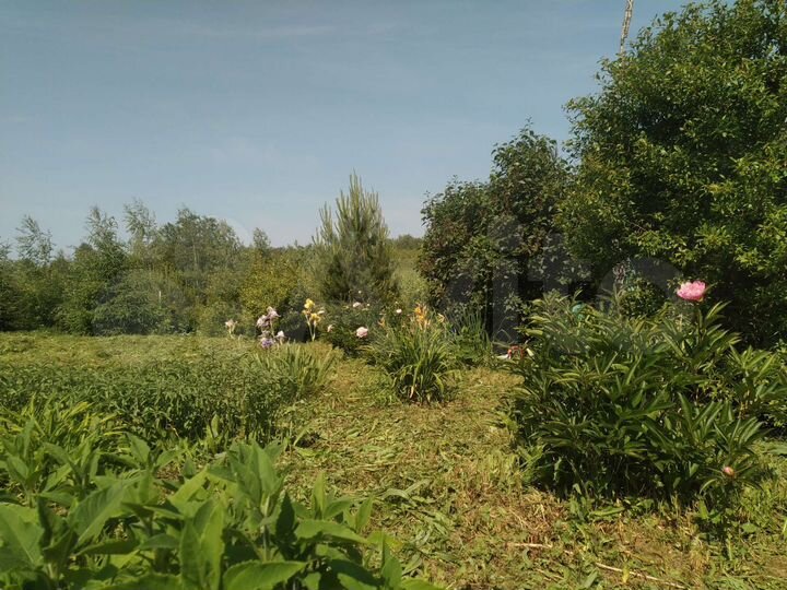 Участок 11 сот. (СНТ, ДНП)