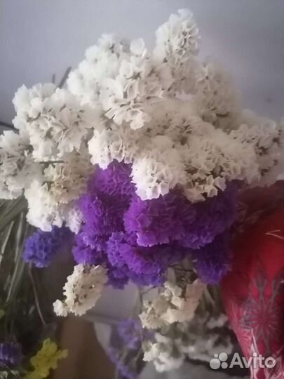 Статица на срезку