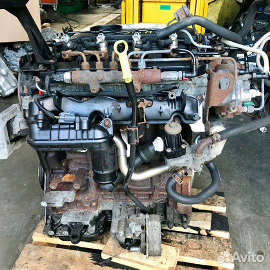 Двигатель Ford Transit Torneo 2.2 tdci