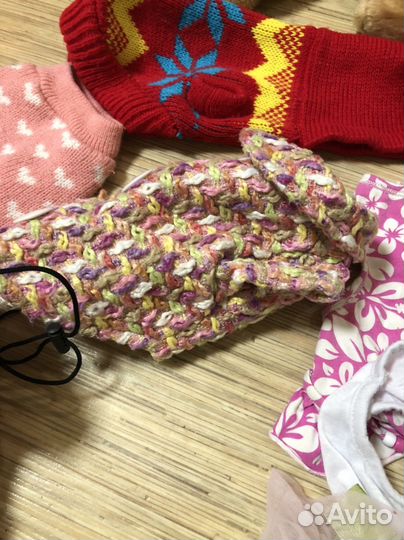 Одежда для маленьких собак