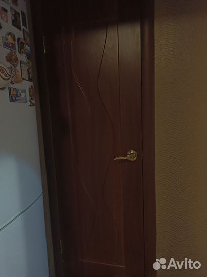 Межкомнатные двери+ арка