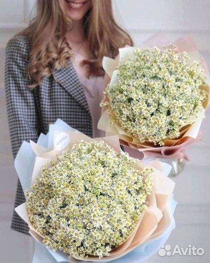 Букеты ромашек