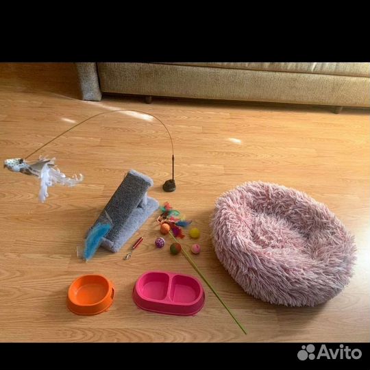 Кошачьи радости.Лежанка,когдеточка,игрушки