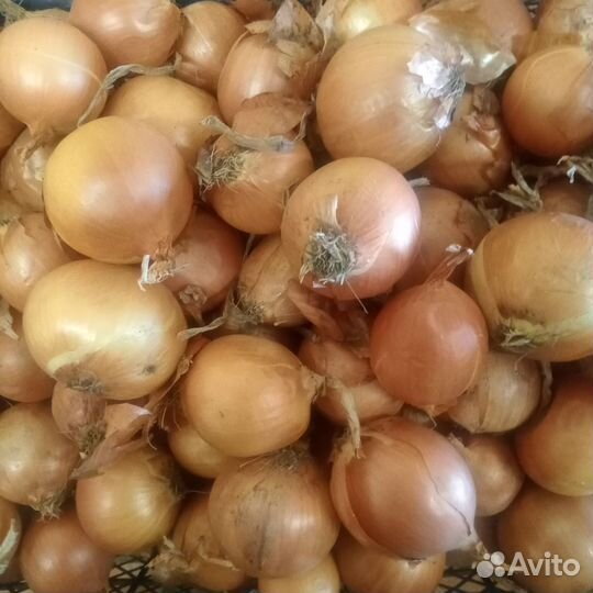 Квашеная капуста, овощи и фрукты