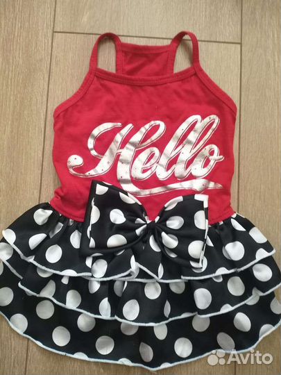 Одежда для маленькой собаки