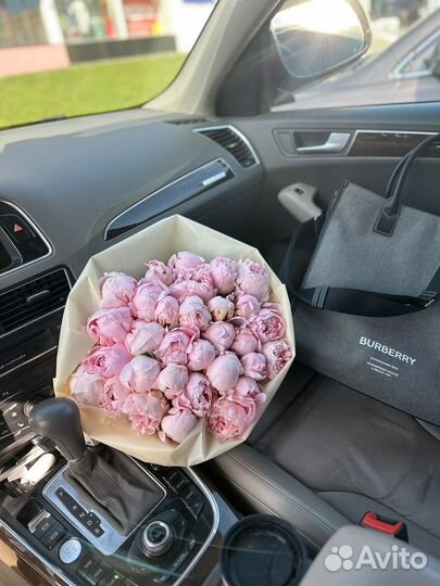 101 роза 51 пионы цветы круглосуточно