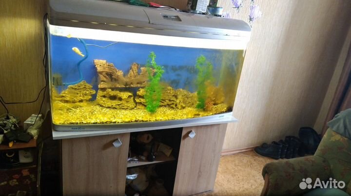 Аквариум jebo 289 литров с тумбой