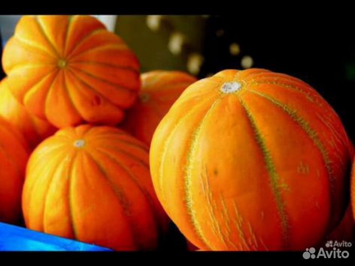 Фрукты и овощи в розницу, оптом с доставкой