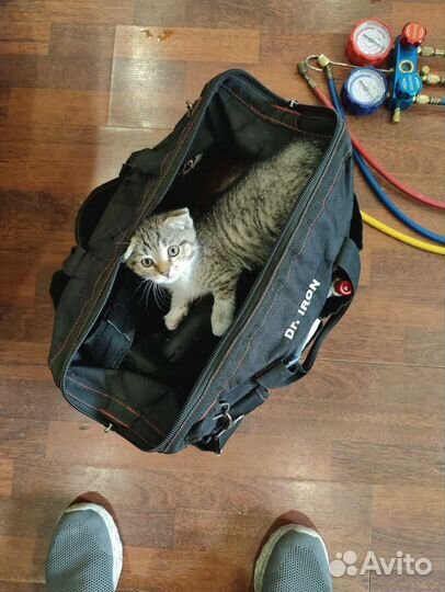 Ремонт холодильников/ стиральных машин