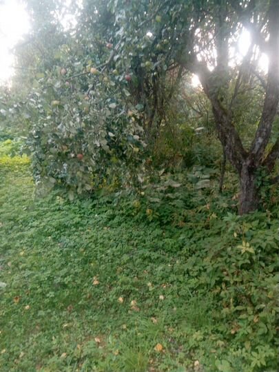 Участок 20 сот. (ИЖС)