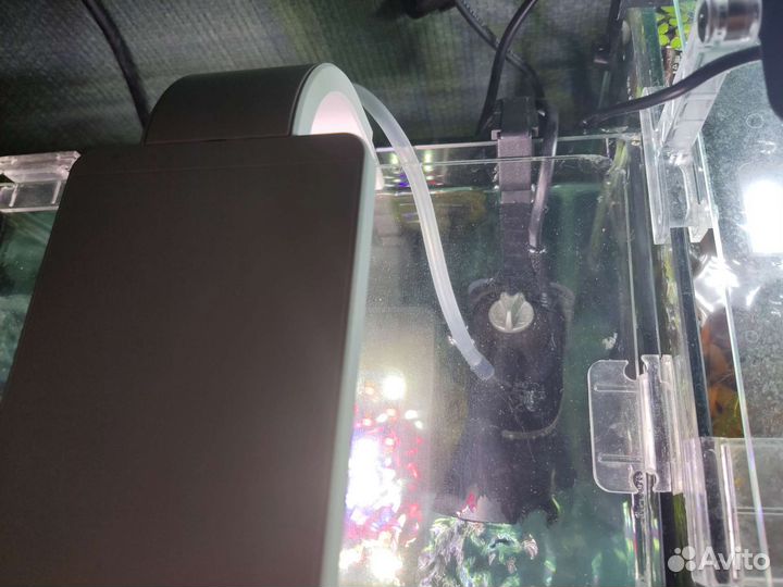 Аквариум Dennerle 30л, креветки Блю дрим