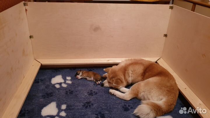 Родильный ящик для собак, манеж для щенков