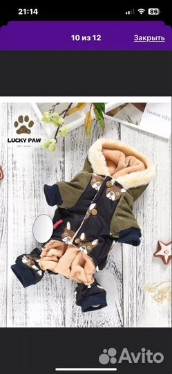 Одежда для средних собак