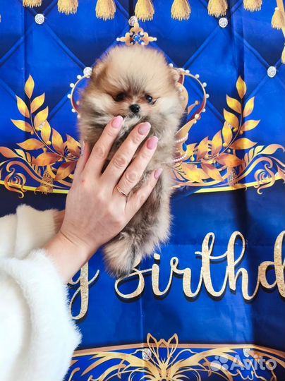 Мини мальчик