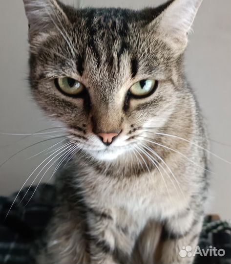 Скромняшка Василиса