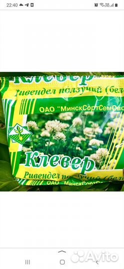 Семена белого клевера