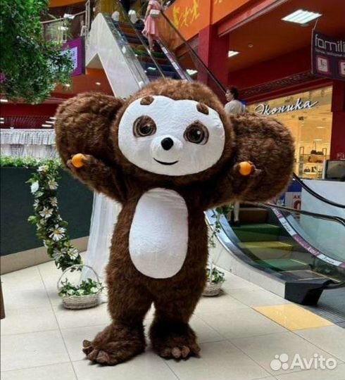 Мишка ми-ми-мишка и Чебурашка на поздравление