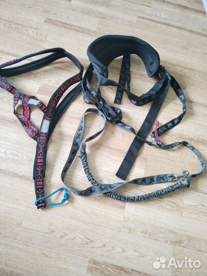 Амуниция для собак