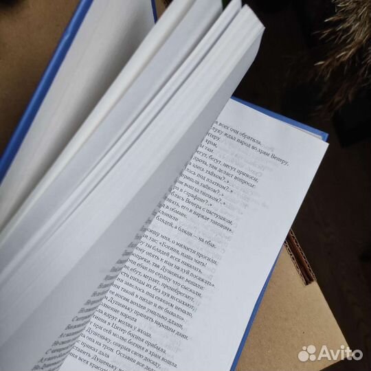 Книга Занавешенные картинки