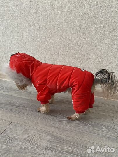 Зимний комбинезон для мелких пород
