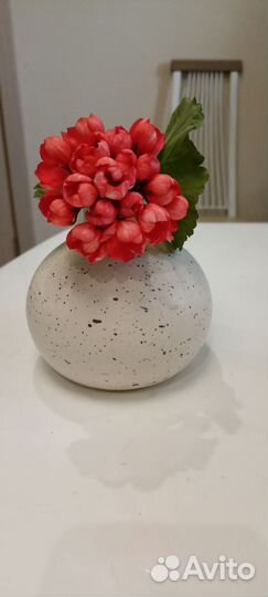 Коралловая тюльпановидная пеларгония