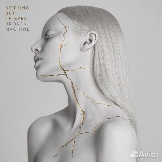 Виниловая пластинка Nothing but Thieves broken mac