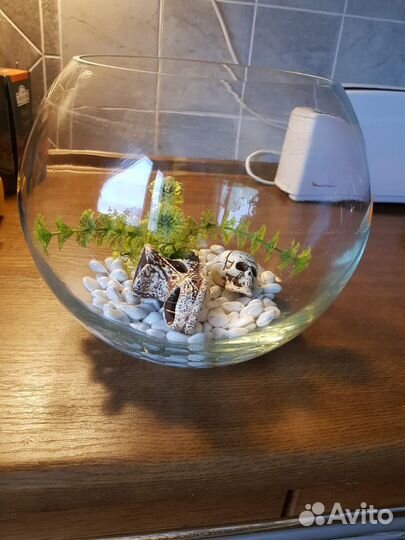 Аквариум 7 литров