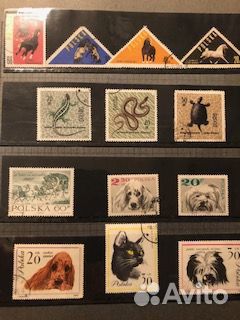 Наборы марок по теме 