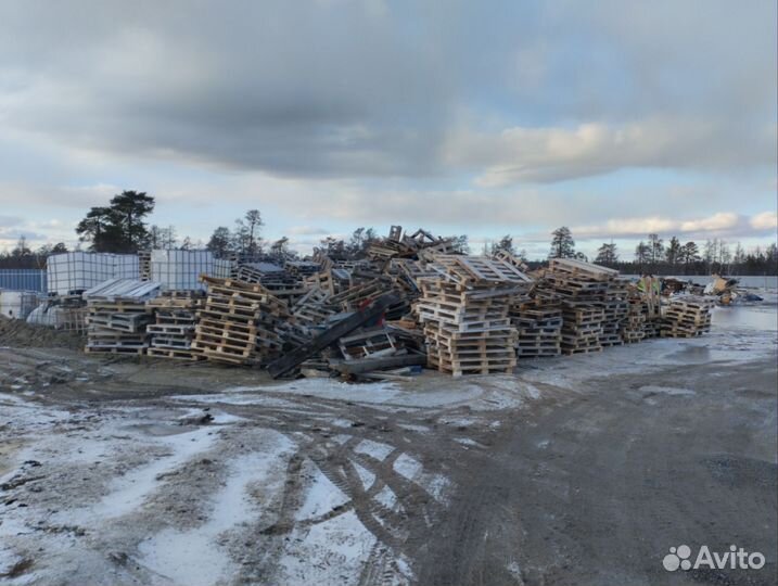 Продам поддоны деревянные