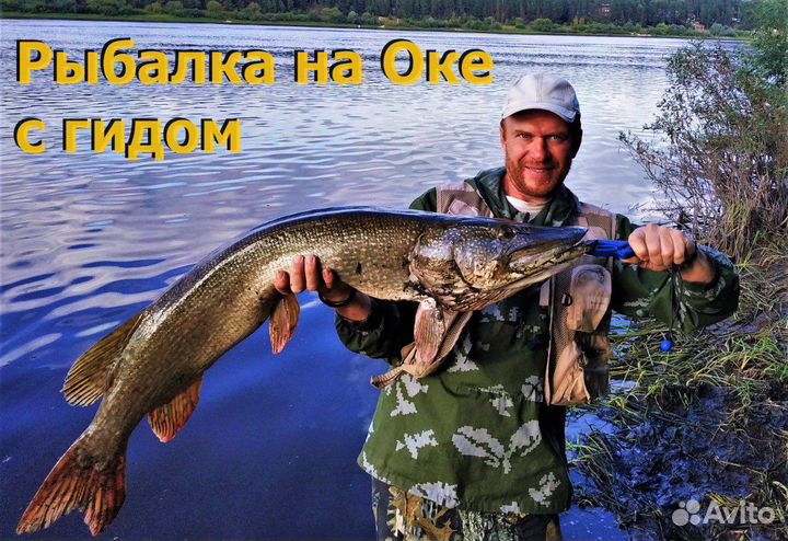 Рыбалка с гидом на Оке
