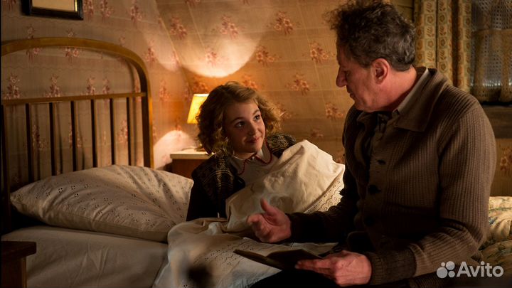 Воровка книг (DVD)