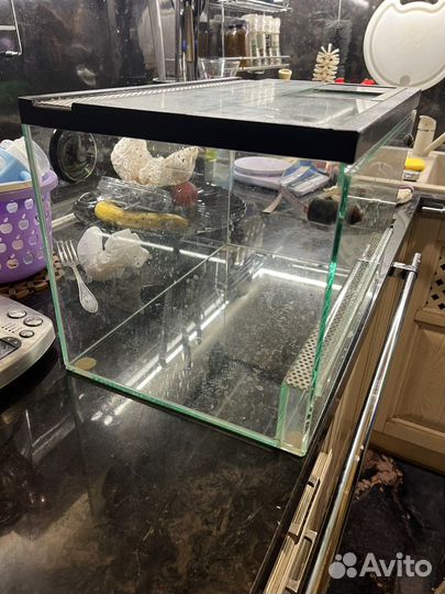 Террариум для паука б/у