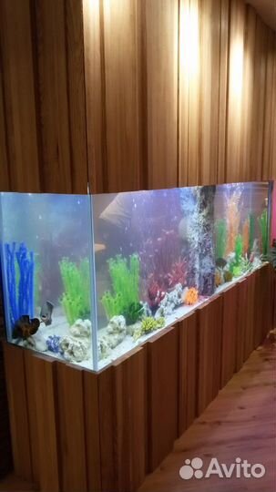Аквариум на заказ Казань