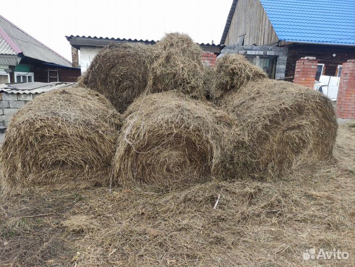 Сено в рулонах