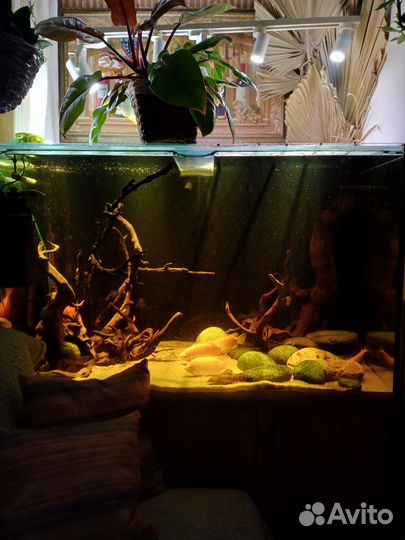 Аквариум 500 литров