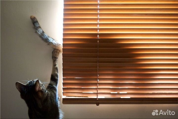 Рулонные шторы Жалюзи Блэкаут Зебра