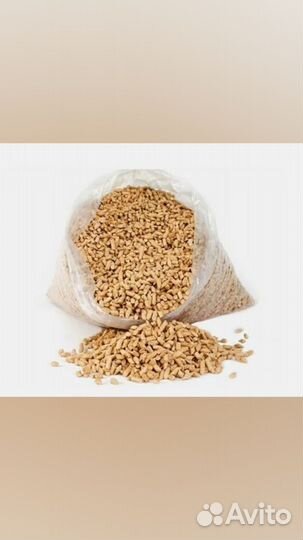 Пеллеты, наполнитель для кошачьего туалета