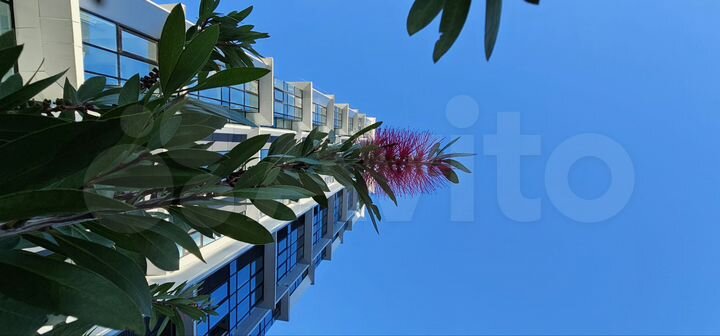 Квартира-студия, 24,1 м², 11/19 эт.