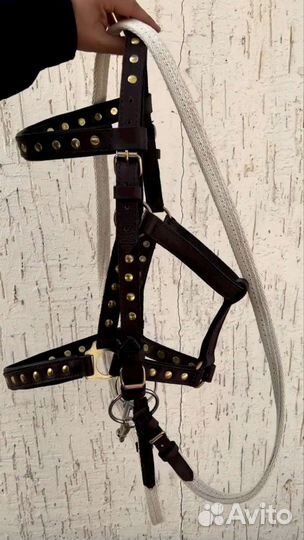 Уздечка для лошади