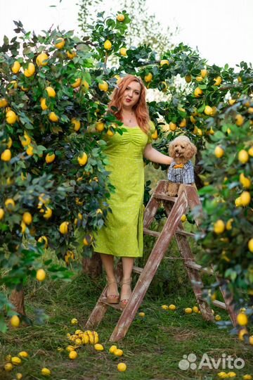 Все для дома и дачи бу