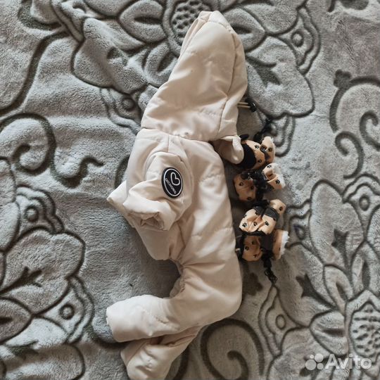 Комплект одежды для собаки