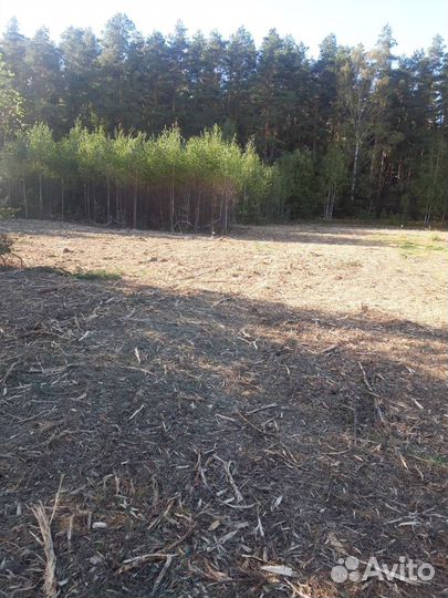 Уборка, расчистка участка