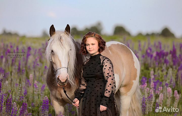 Тинкеры, мини-пони Уроки верховой езды Фотосессии